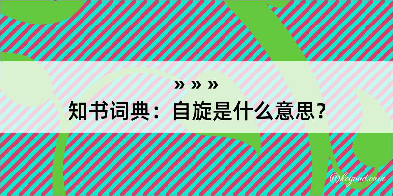 知书词典：自旋是什么意思？