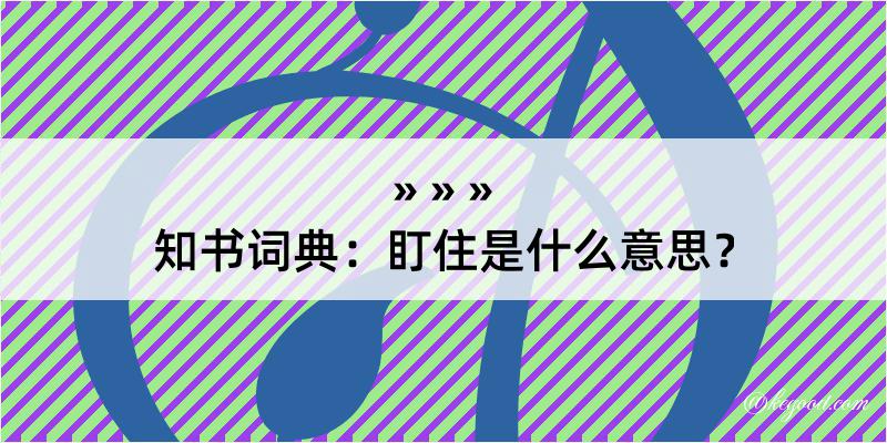 知书词典：盯住是什么意思？