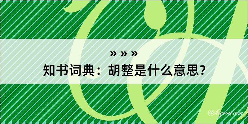 知书词典：胡整是什么意思？