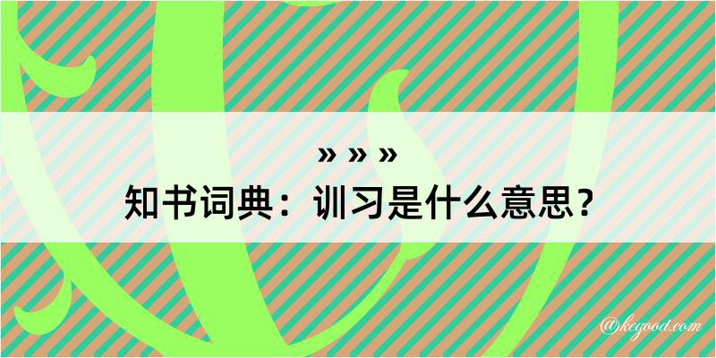 知书词典：训习是什么意思？