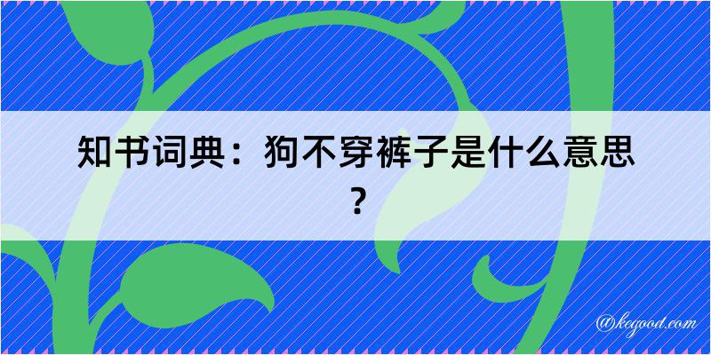 知书词典：狗不穿裤子是什么意思？