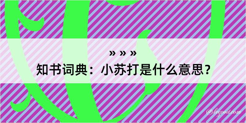 知书词典：小苏打是什么意思？