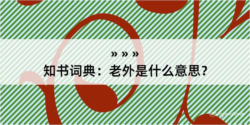 知书词典：老外是什么意思？