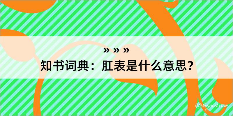 知书词典：肛表是什么意思？