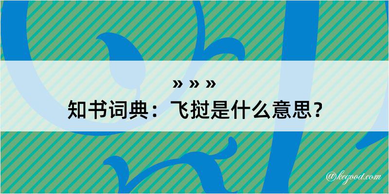 知书词典：飞挝是什么意思？