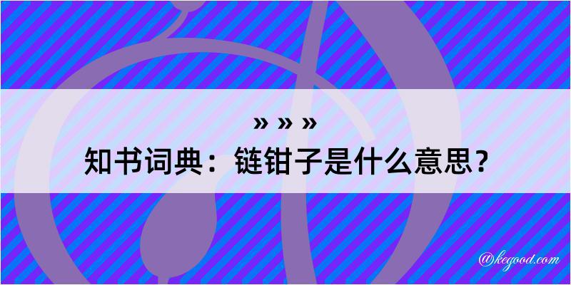 知书词典：链钳子是什么意思？