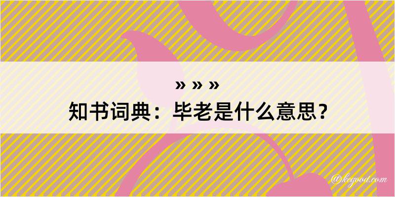 知书词典：毕老是什么意思？