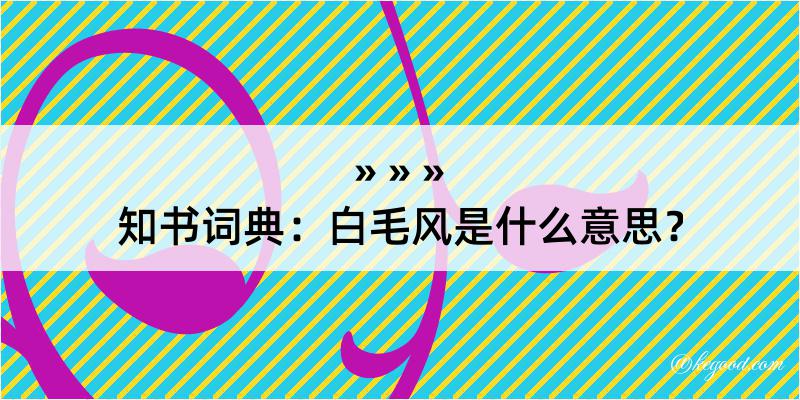 知书词典：白毛风是什么意思？