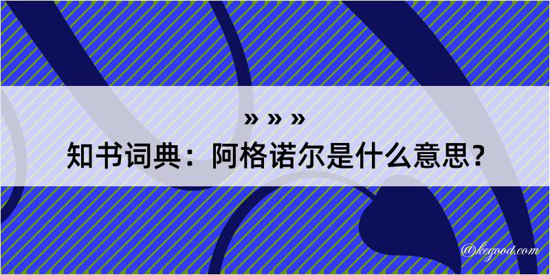 知书词典：阿格诺尔是什么意思？