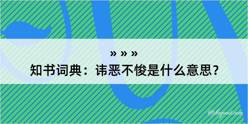 知书词典：讳恶不悛是什么意思？