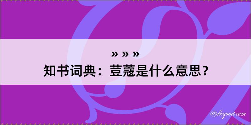 知书词典：荳蔻是什么意思？