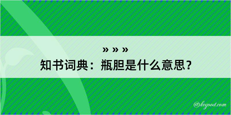 知书词典：瓶胆是什么意思？