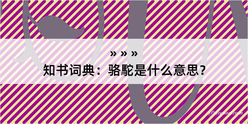 知书词典：骆駝是什么意思？