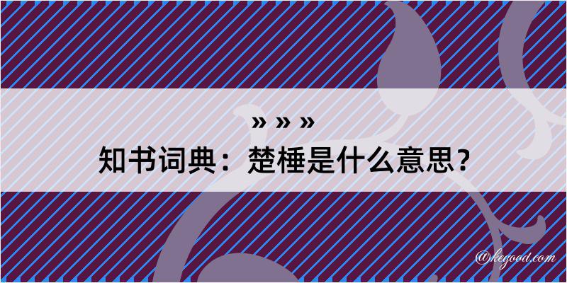 知书词典：楚棰是什么意思？