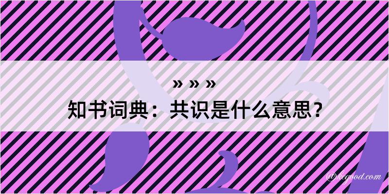 知书词典：共识是什么意思？