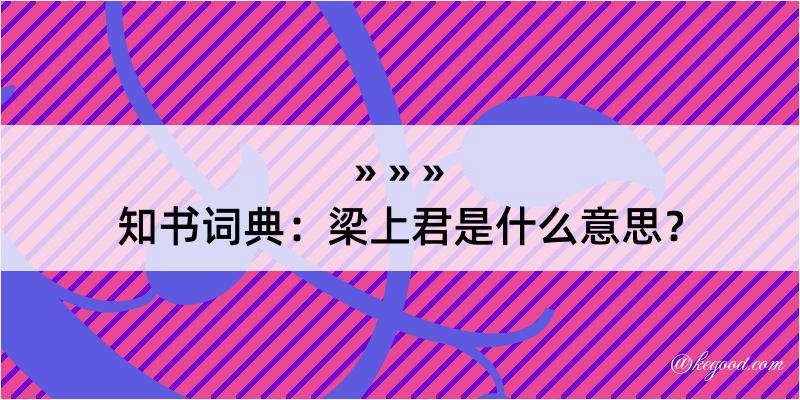 知书词典：梁上君是什么意思？