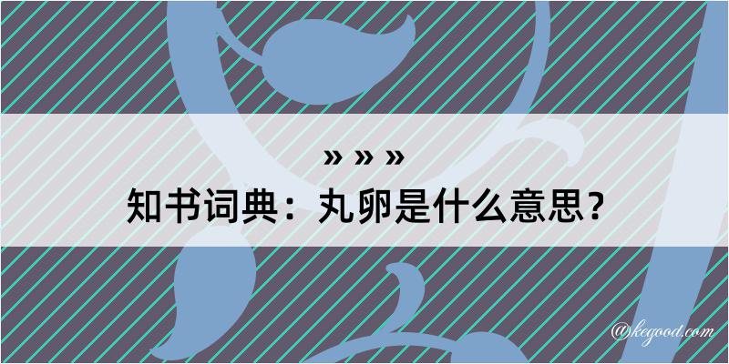 知书词典：丸卵是什么意思？