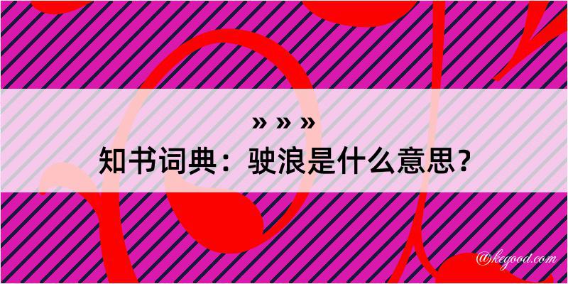 知书词典：驶浪是什么意思？