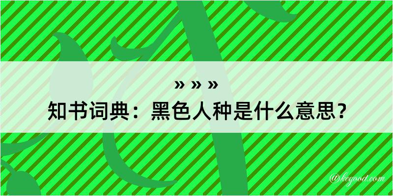 知书词典：黑色人种是什么意思？