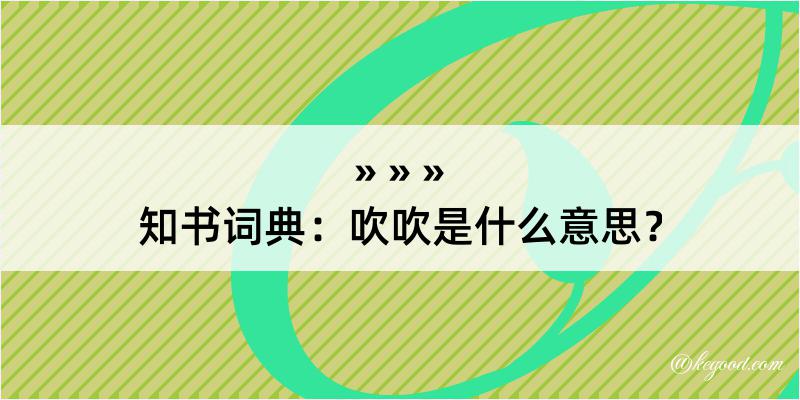 知书词典：吹吹是什么意思？