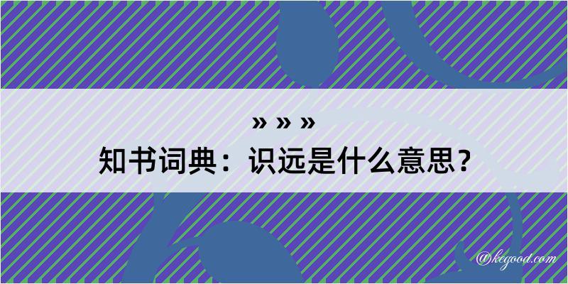 知书词典：识远是什么意思？