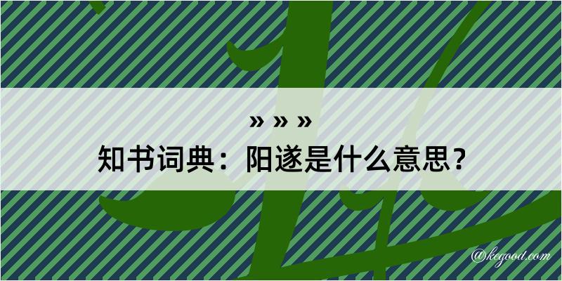 知书词典：阳遂是什么意思？