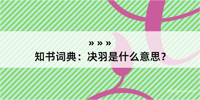 知书词典：决羽是什么意思？