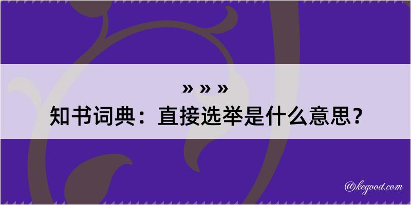 知书词典：直接选举是什么意思？