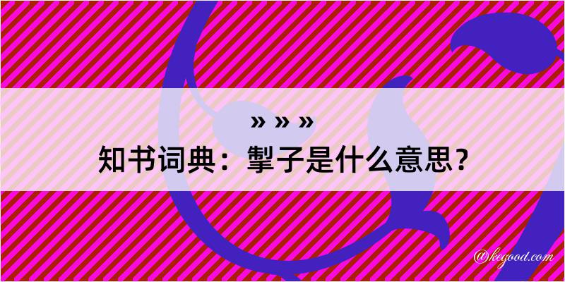 知书词典：掣子是什么意思？