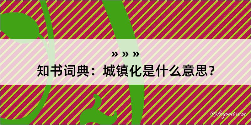 知书词典：城镇化是什么意思？