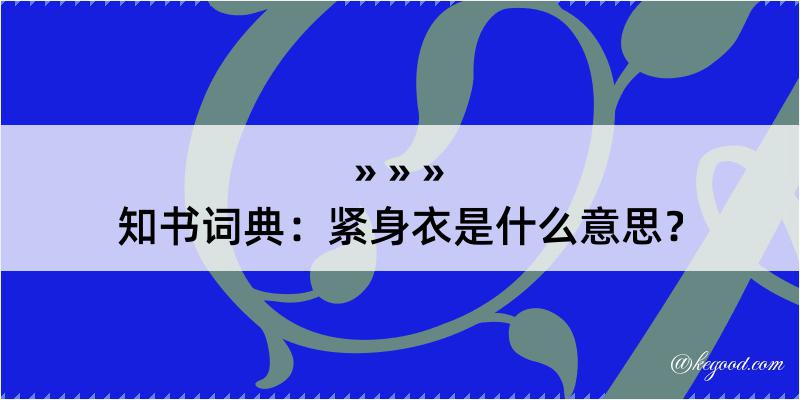 知书词典：紧身衣是什么意思？