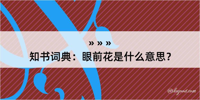 知书词典：眼前花是什么意思？