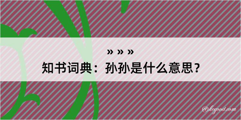 知书词典：孙孙是什么意思？