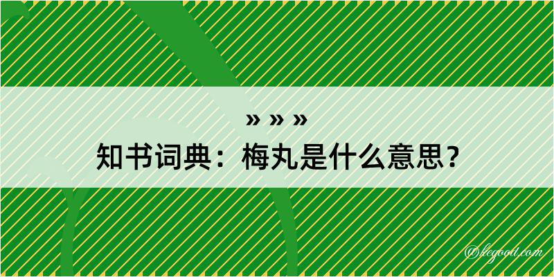 知书词典：梅丸是什么意思？