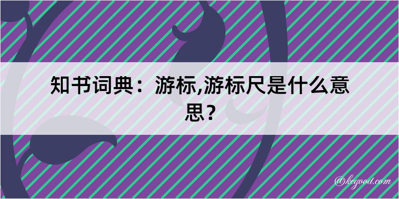 知书词典：游标,游标尺是什么意思？