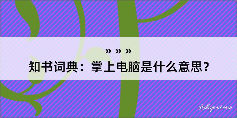 知书词典：掌上电脑是什么意思？