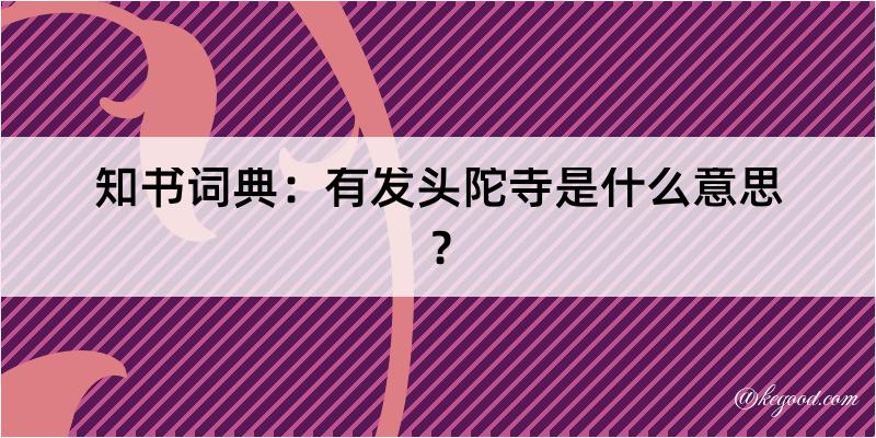 知书词典：有发头陀寺是什么意思？