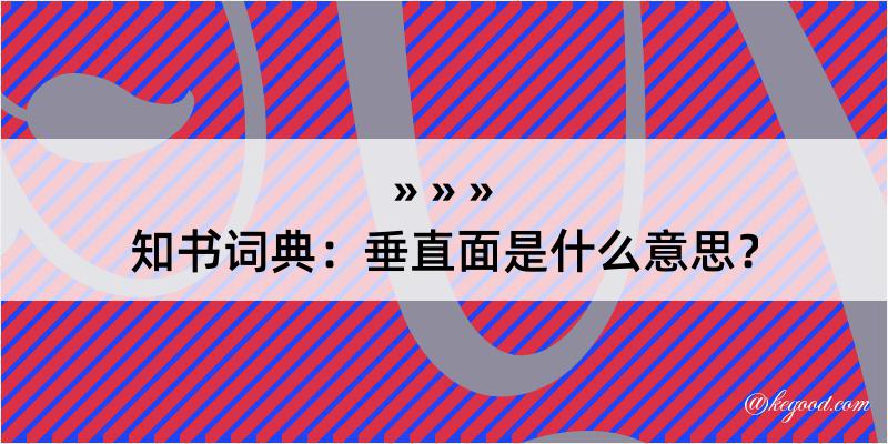 知书词典：垂直面是什么意思？