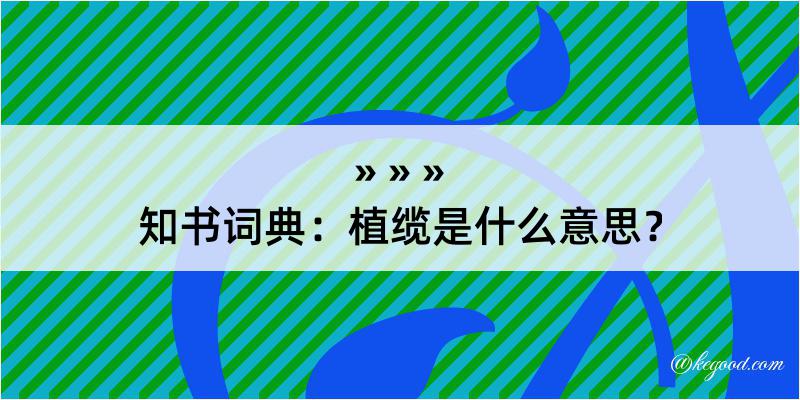 知书词典：植缆是什么意思？