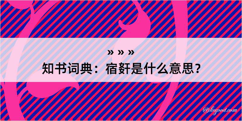 知书词典：宿姧是什么意思？