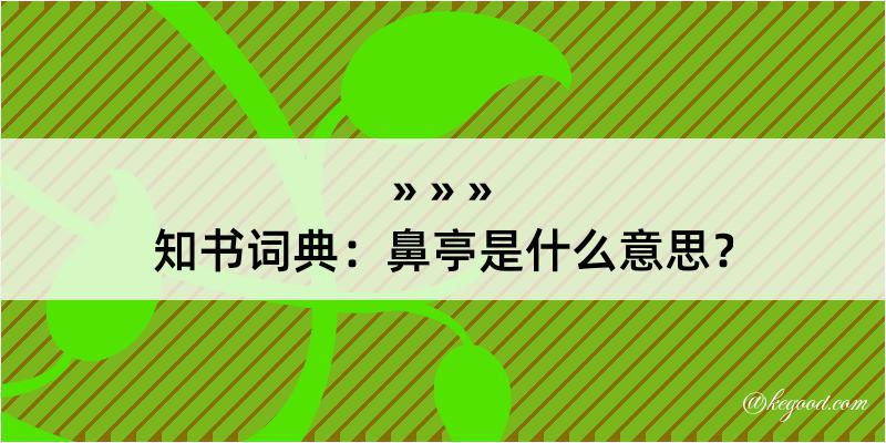 知书词典：鼻亭是什么意思？