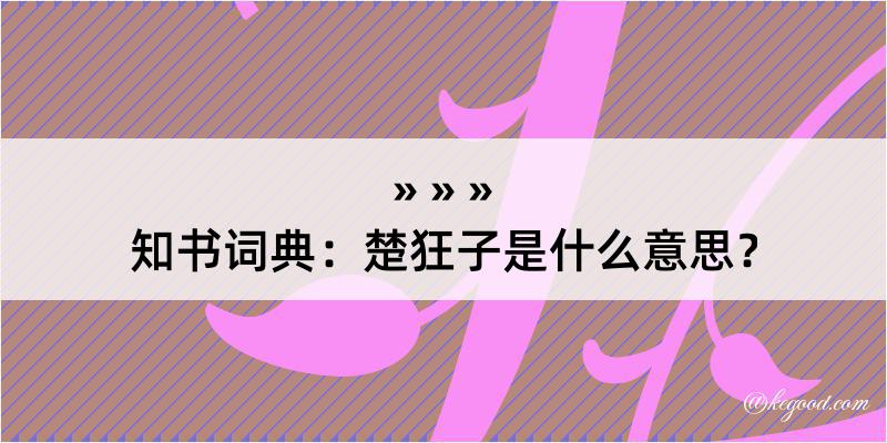 知书词典：楚狂子是什么意思？