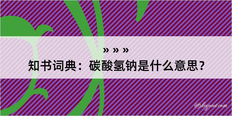 知书词典：碳酸氢钠是什么意思？