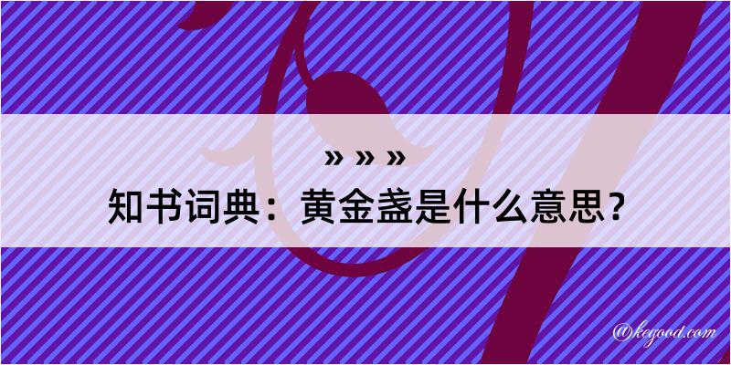 知书词典：黄金盏是什么意思？