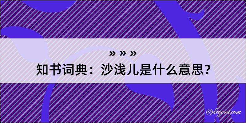 知书词典：沙浅儿是什么意思？