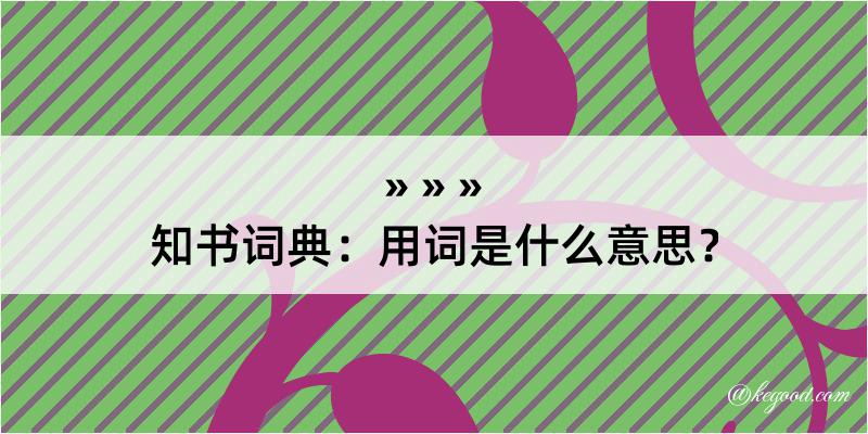 知书词典：用词是什么意思？