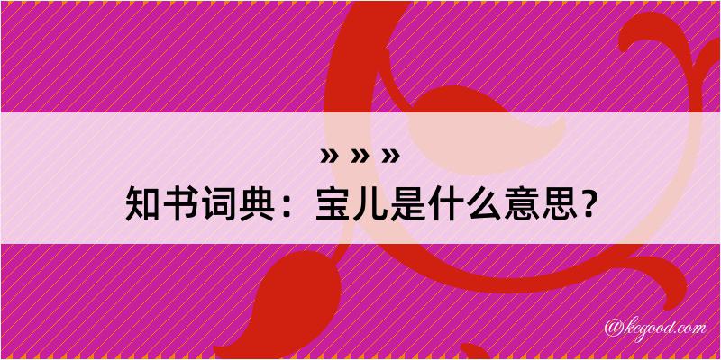 知书词典：宝儿是什么意思？