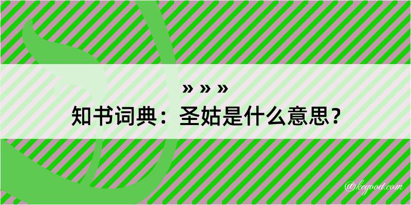 知书词典：圣姑是什么意思？