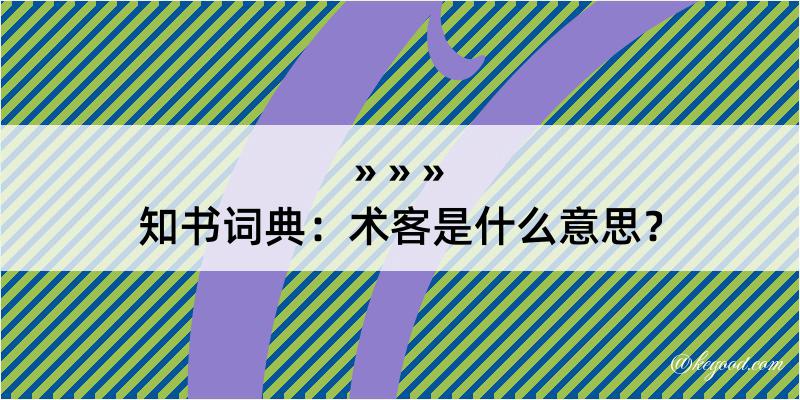 知书词典：术客是什么意思？