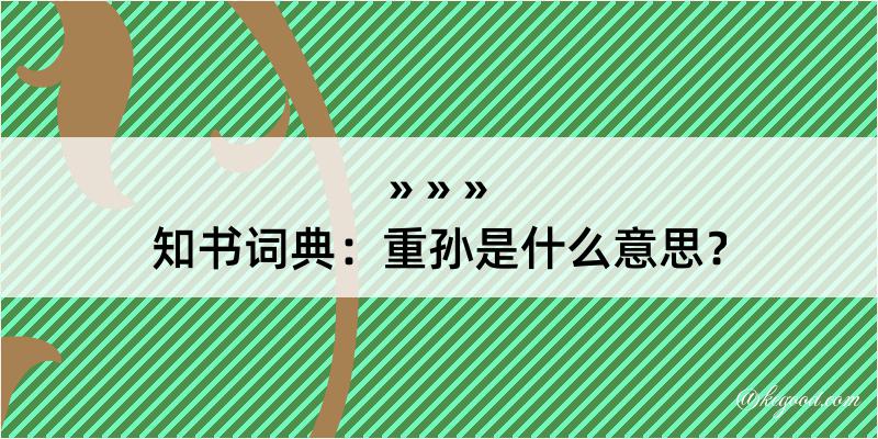 知书词典：重孙是什么意思？